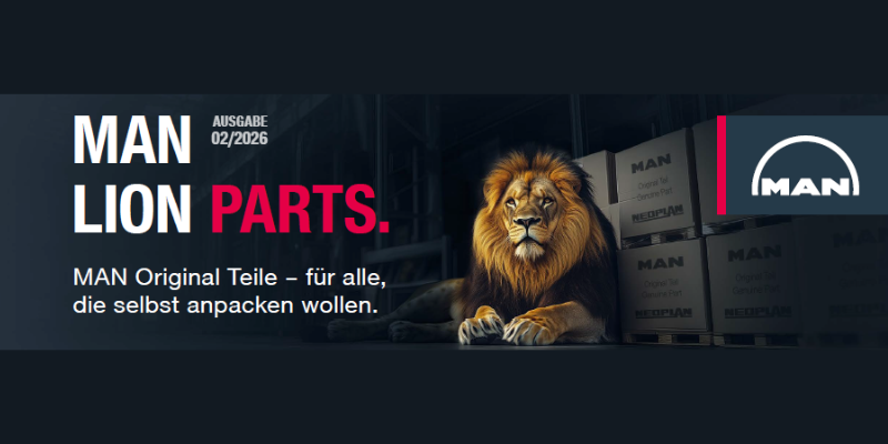 MAN LION PART
